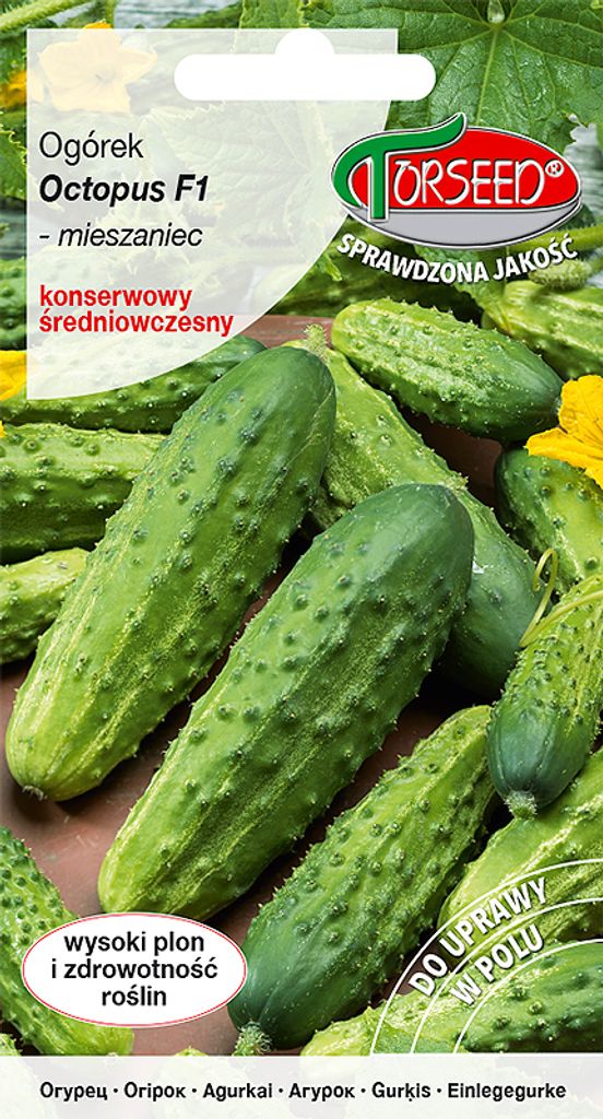A seed packet for Octopus F1 cucumbers, featuring an image of several cucumbers.