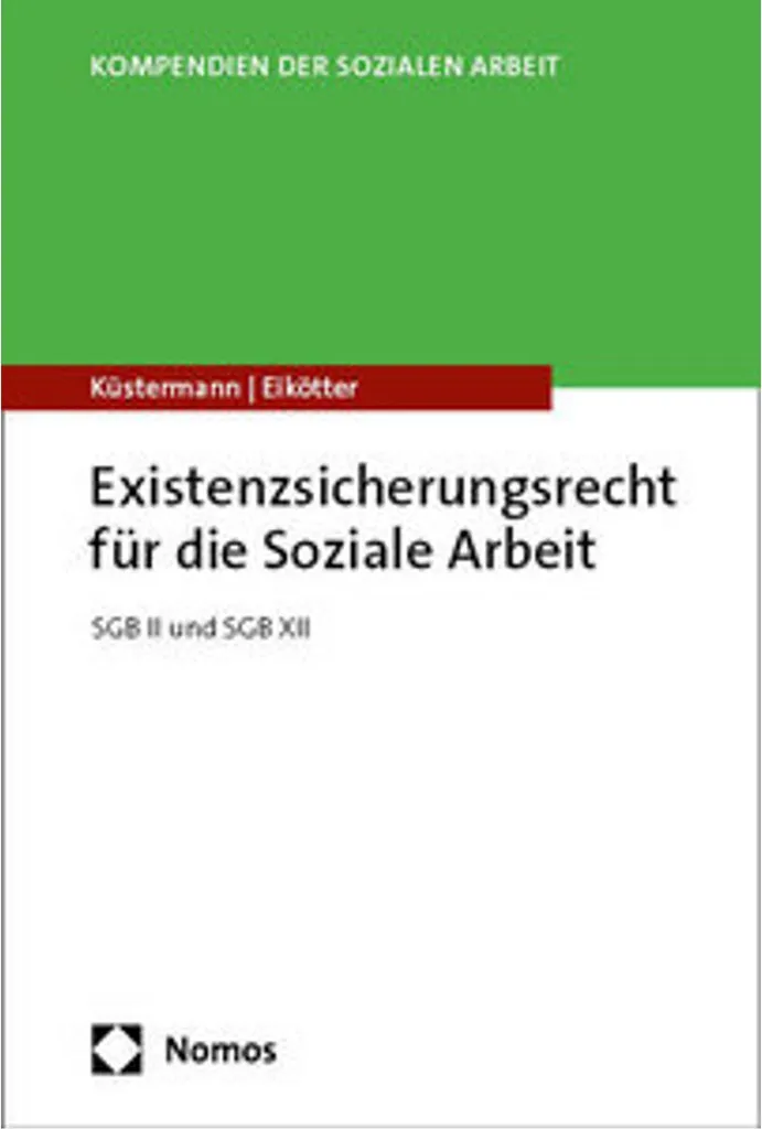 Revenu d'existence et travail social : Expertise sur le Droit Social