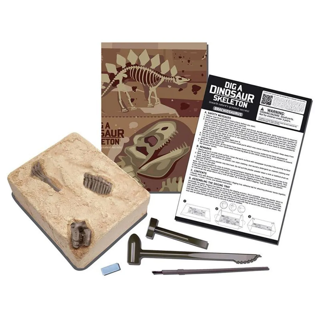 Jeu Éducatif Squelette de Brachiosaurus à Construire - Kit Scientifique - 6