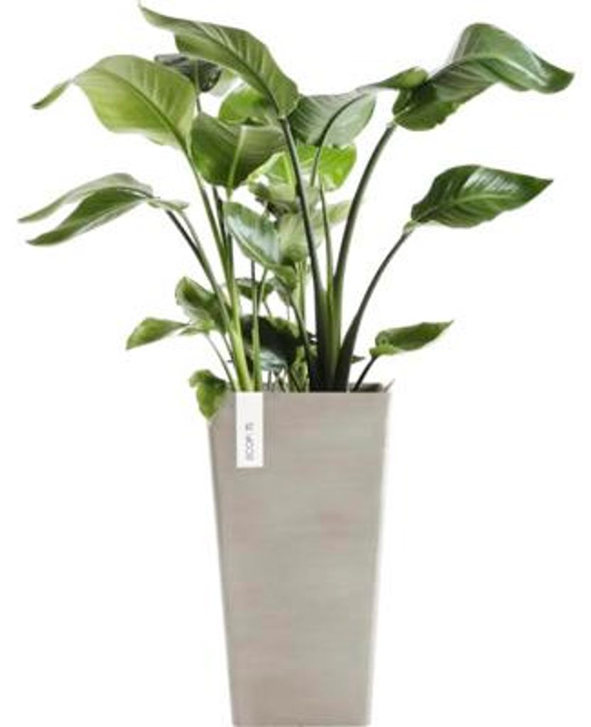 Pflanzvase Ecopots Rotterdam Kunststoff matt 31 x 31 x 56 cm graubraun