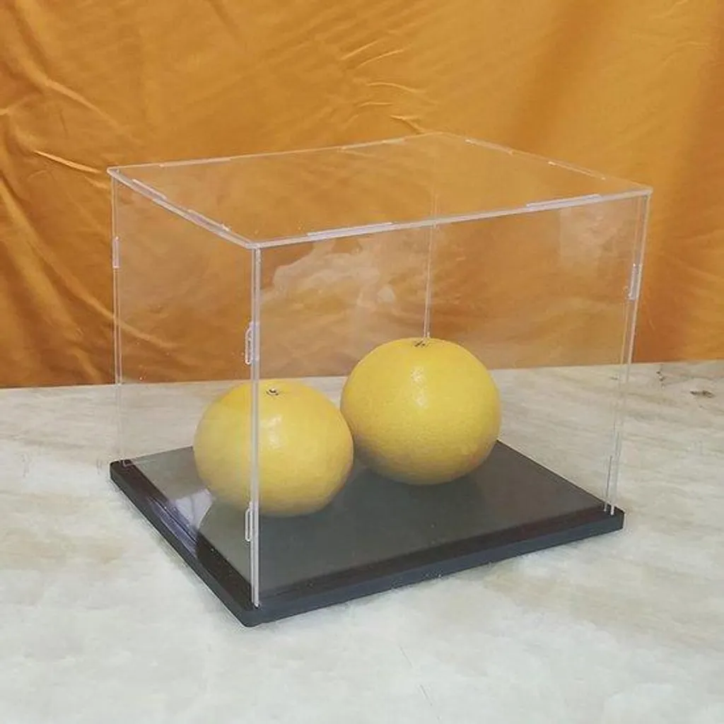 Vitrine anti-poussière en acrylique pour protéger vos objets fragiles