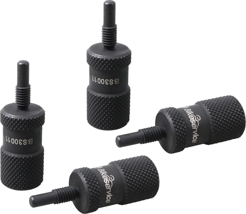 Kit de 4 piges de calage distribution pour Ducati M5 x 0,8 mm Bikeservice