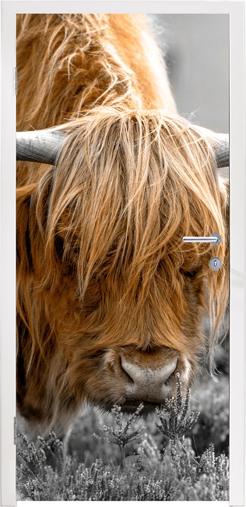 MuchoWow Türtapete Selbstklebende Türfolie Scottish Highlander - Pflanzen - Schwarz - Weiß 80x215 cm Türposter Türaufkleber Klebefolie Türk...