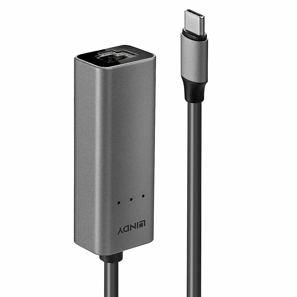Convertisseur Ethernet 2.5G USB 3.1 Type C pour Réseau Filaire Rapide