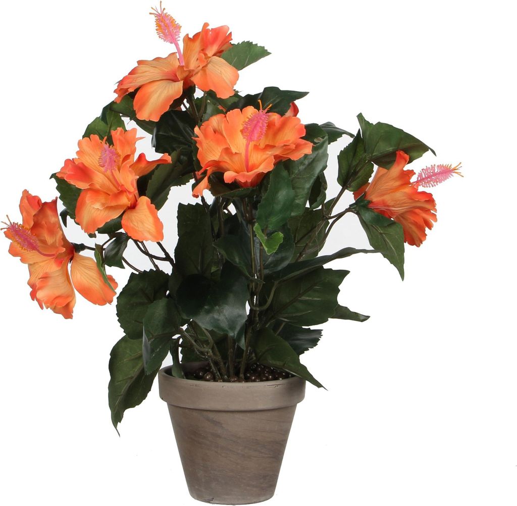 Mica Decorations Hibiskus sztuczna roślina w doniczce Stan Zdjęcie produktu 