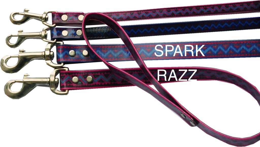 Hundeleine Electra PVC mit Handschlaufe und Karabiner, 2,5 cm breit, 180 cm lang in Razz