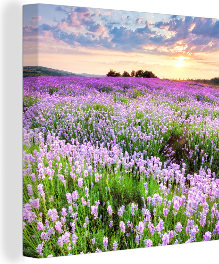 OneMillionCanvasses - Leinwandbilder - Bild auf Leinwand Wandbild Leinwandbild Blumen - Lavendel - Lila - Himmel - Sonnenuntergang - Wiese - Natu...