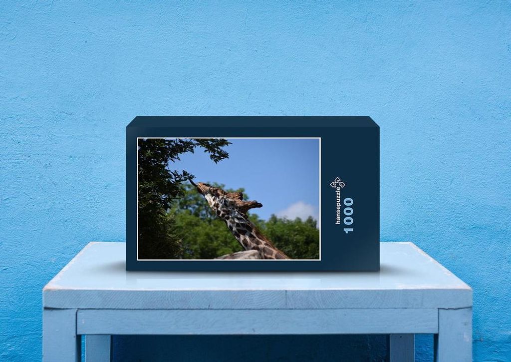 hansepuzzle 77875 - Giraffe Puzzle, 1000 Teile, Tierwelt, 60,0 x 46,0cm mit hochwertiger Aufbewahrung, Kartonbox und wiederverschließbarem Beutel