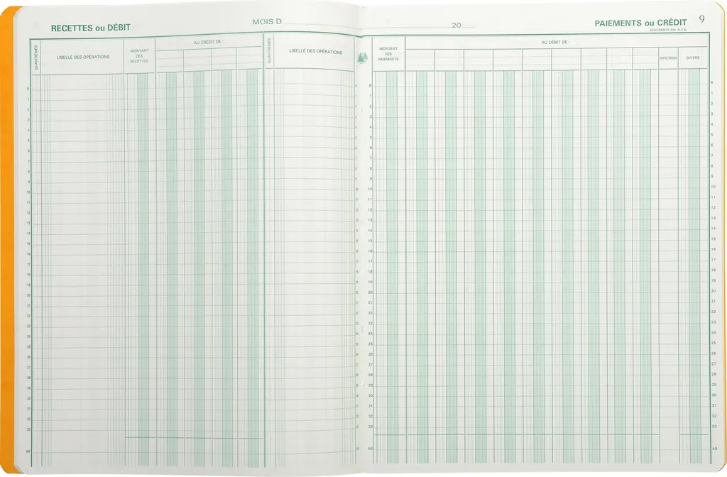 Sécurisez votre Comptabilité Journal de Caisse Exacompta 6510E 33 Lignes