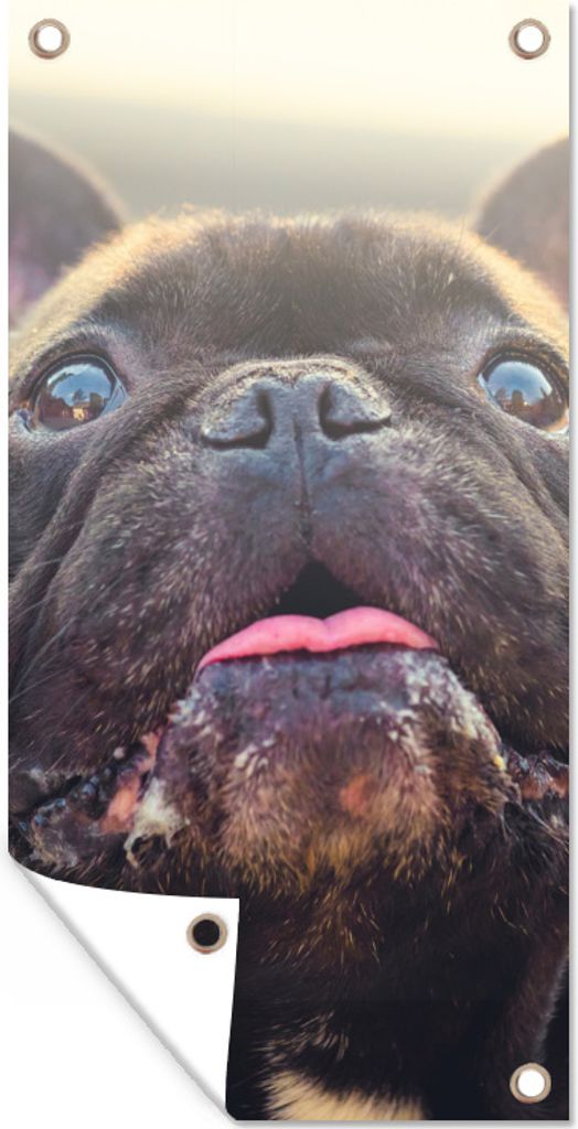 MuchoWow 80x160 cm Outdoor-Poster Gartendeko Sichtschutz Garten Poster für den Garten Französische Bulldogge - Schwarz - Sonne