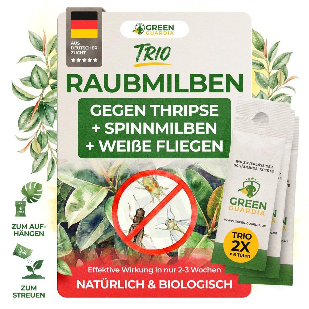 Raubmilben gegen Thripse, Spinnmilben & Weiße Fliegen - 2x Produktbild 
