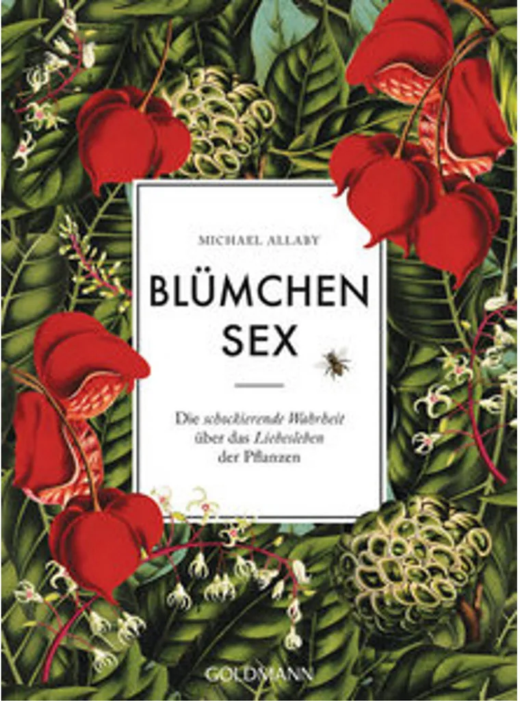 Coffret de Massage Blümchensex pour Couple : Huile Relaxante et Soin Doux