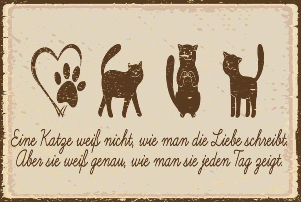 vianmo Blechschild 20x30 cm Katze liebe schreibt