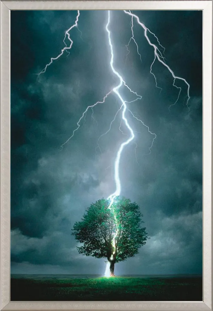 Poster Nature Éclair Arbre I Shinsuke Cadre Alu Argent Vitre Acrylique