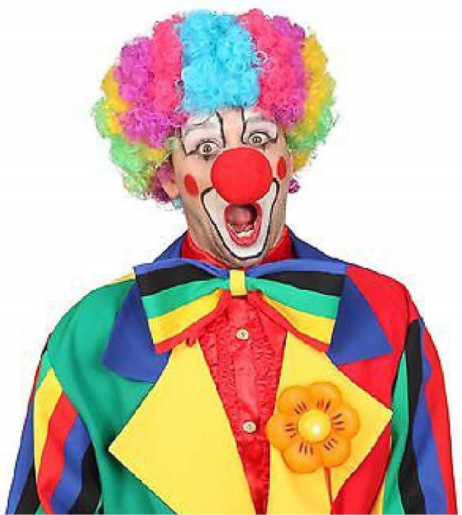 O30048-47 bunt Damen Herren Clownperücke Spaßmacher