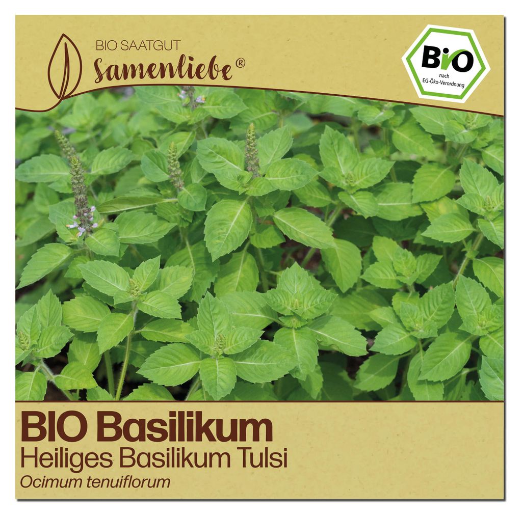 Samenliebe  Basilikum Samen | Heiliges Basilikum Tulsi - Produktbild 
