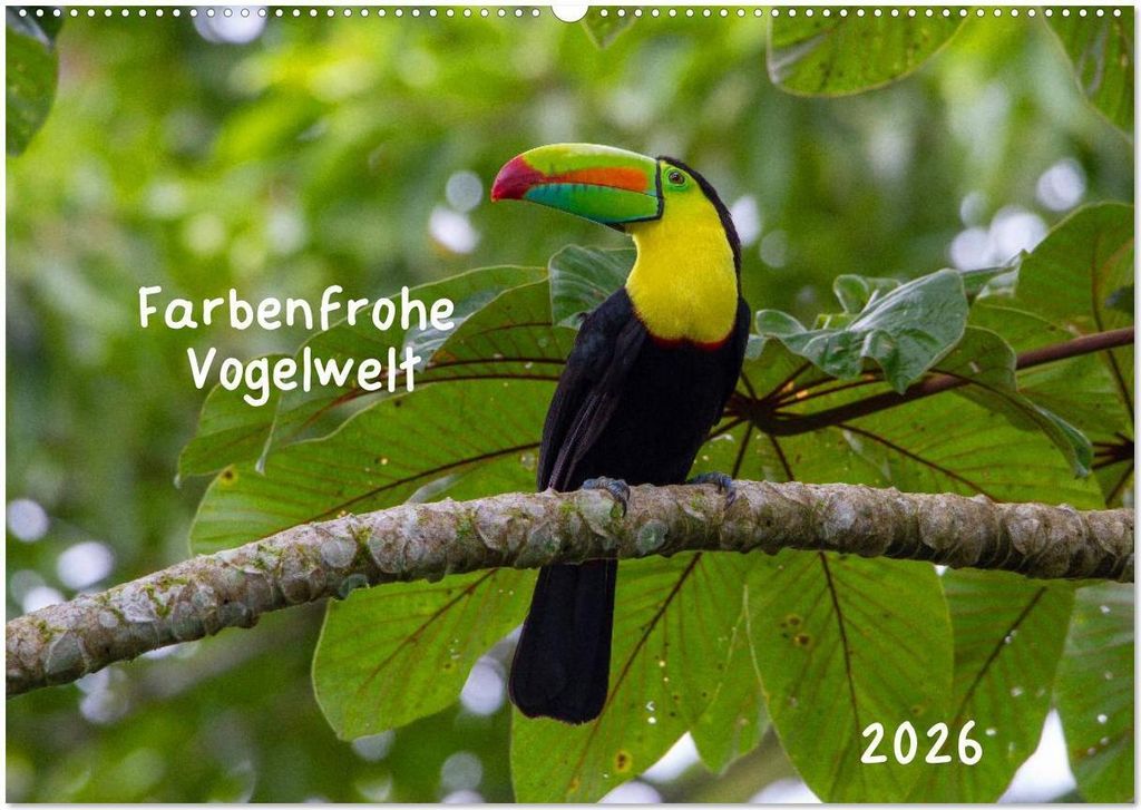 Farbenfrohe Vogelwelt (Wandkalender 2026 DIN A2 quer), CALVENDO Monatskalender