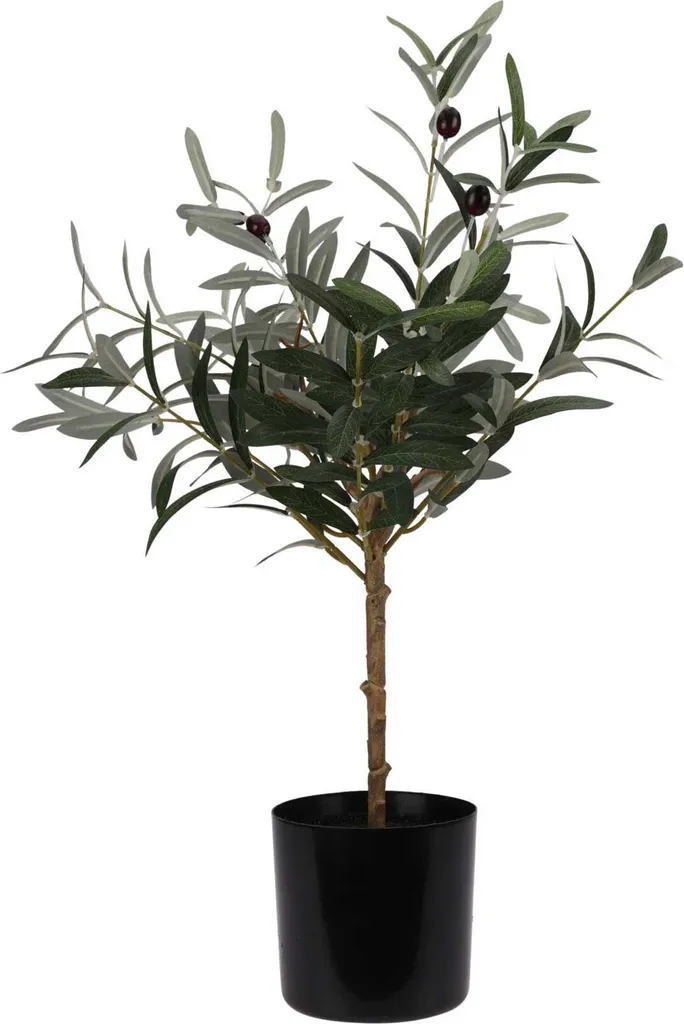 Plante Artificielle Olivier 66 cm pour Décorer un Bureau ou un Salon