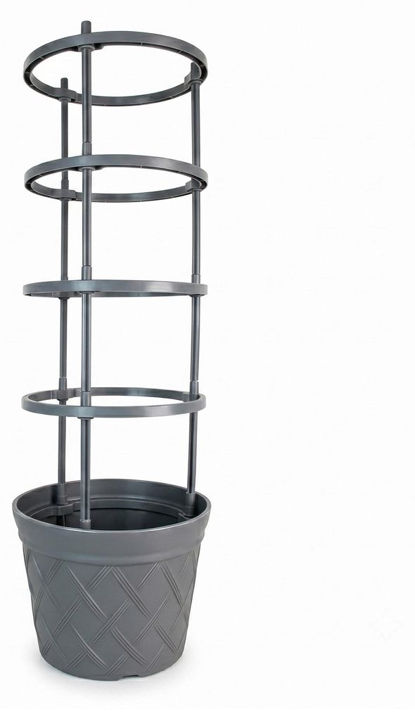 Aga Fioriera per coltivare pomodori 30x24x100 cm Immagine del prodotto 