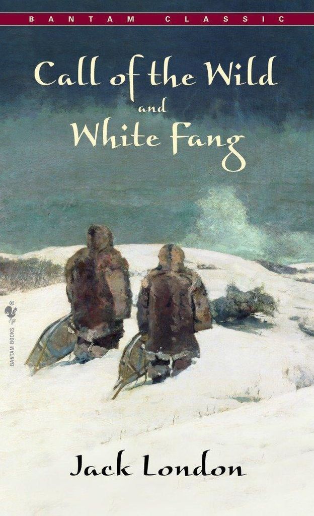 ISBN Call of The Wild, White Fang, Klassiker, Englisch, Taschenbuch für den Massenmarkt, 320 Seiten