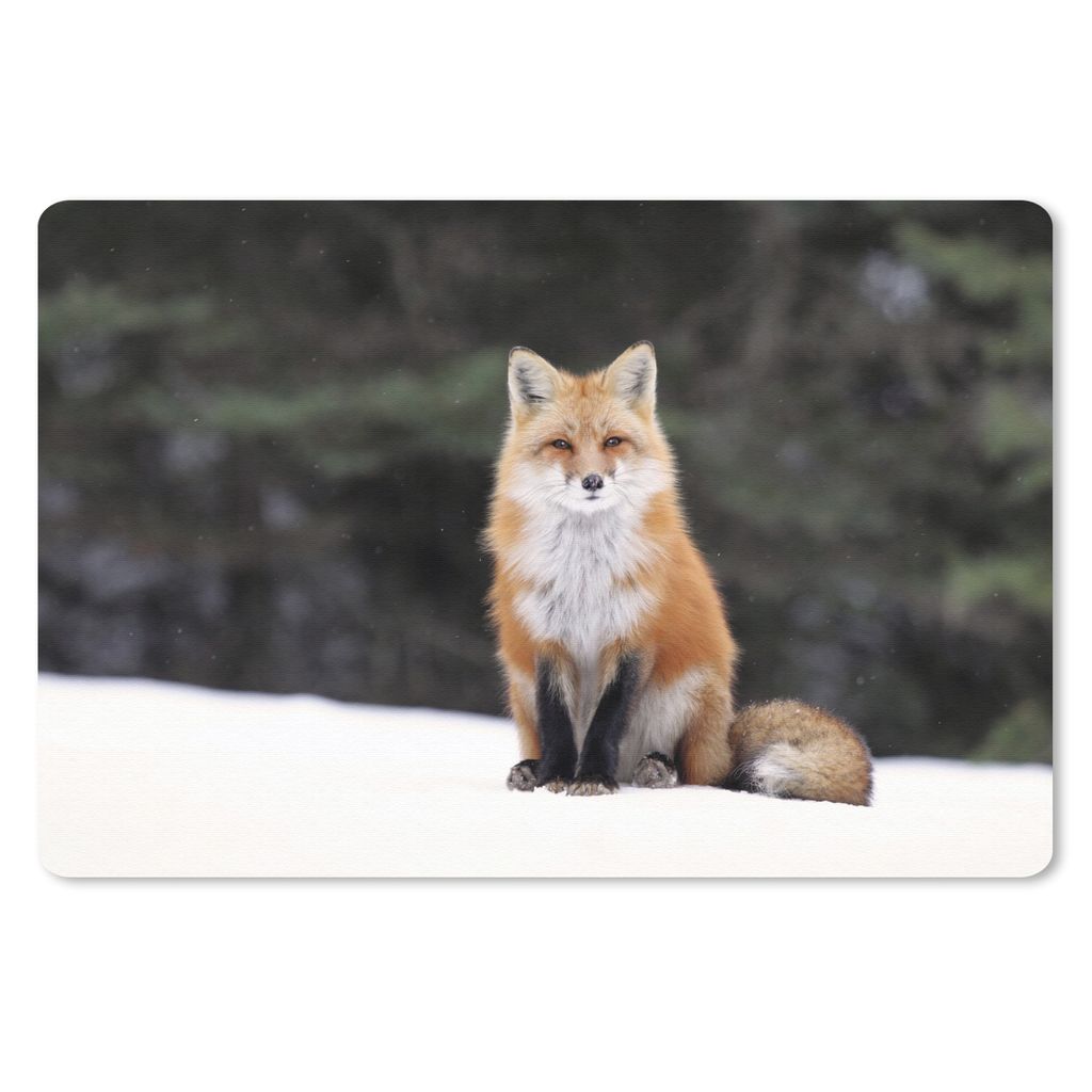 MuchoWow Mauspad Mousepad Fuchs - Schnee - Rot 27x18 cm - Mousepads - Maus Mat - Pad - Mausunterlage - Büroartikel - Desk Matten