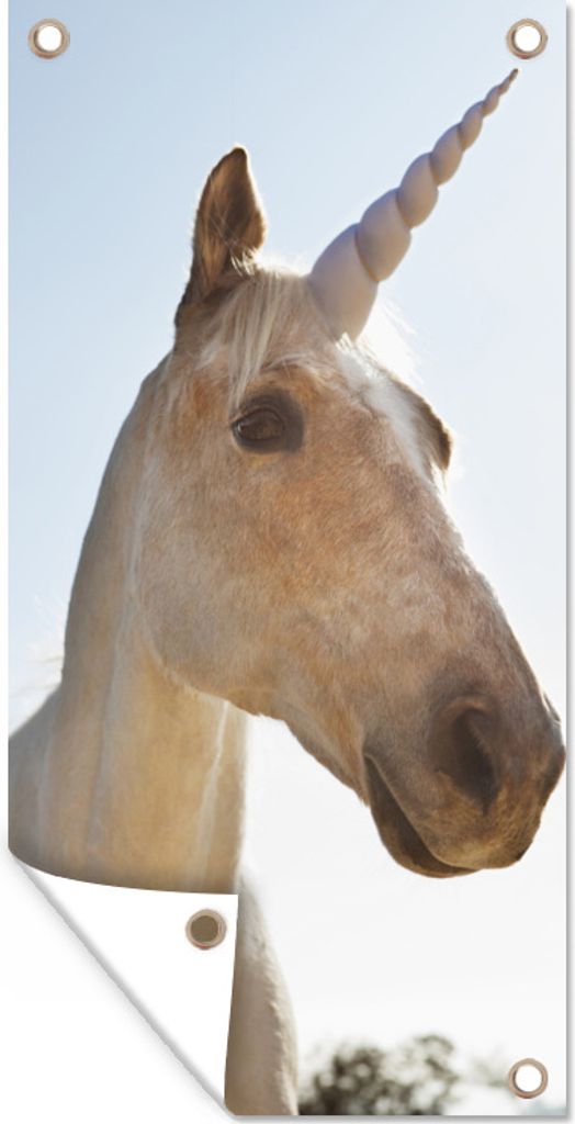 MuchoWow 30x60 cm Outdoor-Poster Gartendeko Sichtschutz Garten Poster für den Garten Einhorn im Sonnenlicht