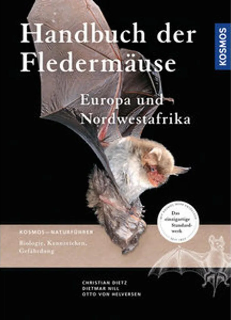 Guide Chauves-souris Europe : Identification Précise et Fiches Espèces