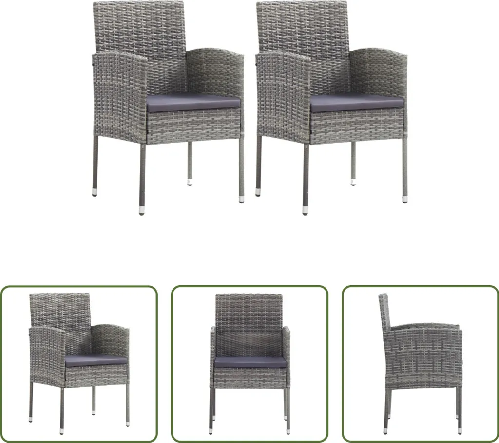 The Living Store Chaises de jardin gris foncé en polyrattan (2 pcs)