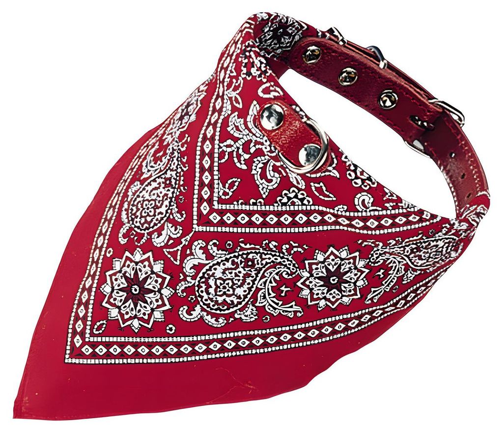Nobby halsband voor honden met sjaal, rood, 50 cm Productafbeelding 
