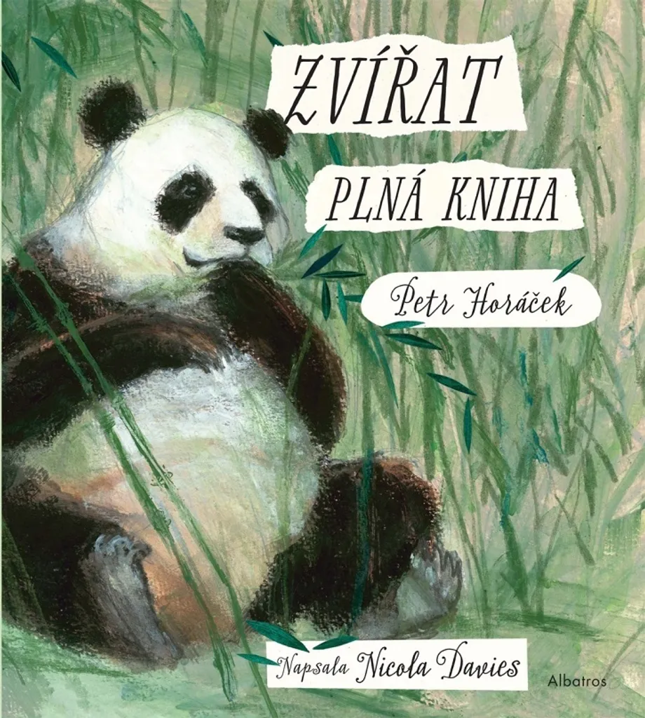 Grand Livre des Animaux de Nicola Davies avec Illustrations Artistiques