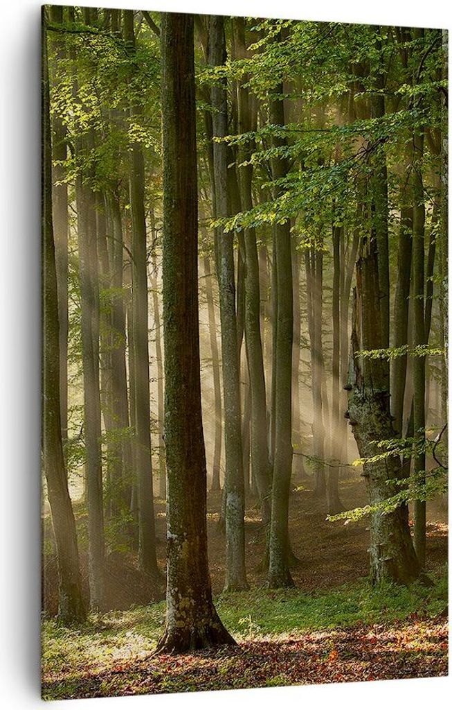 Bild auf Leinwand - Leinwandbild - Einteilig - Wald Baum Natur - 80x120cm - Wand Bild - Wanddeko - Wandbilder - Leinwanddruck - Kunstdruck - Wandde...