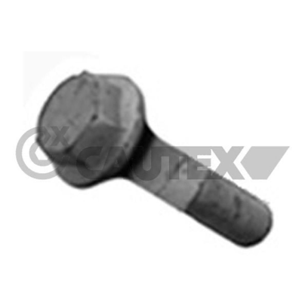 Riemenscheibenschraube Cautex 757050 für Renault