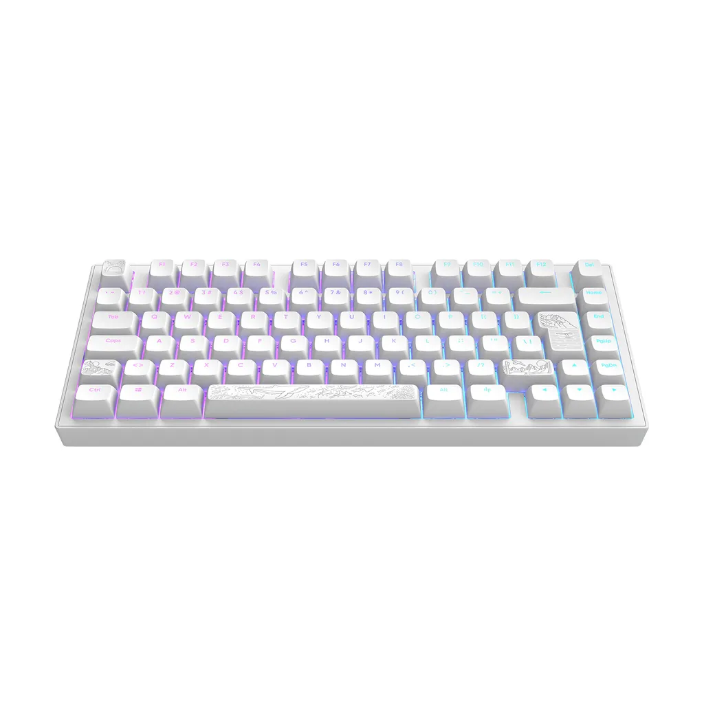 Dark Project Terra Nostra Clavier 75% en Aluminium Blanc Format ISO