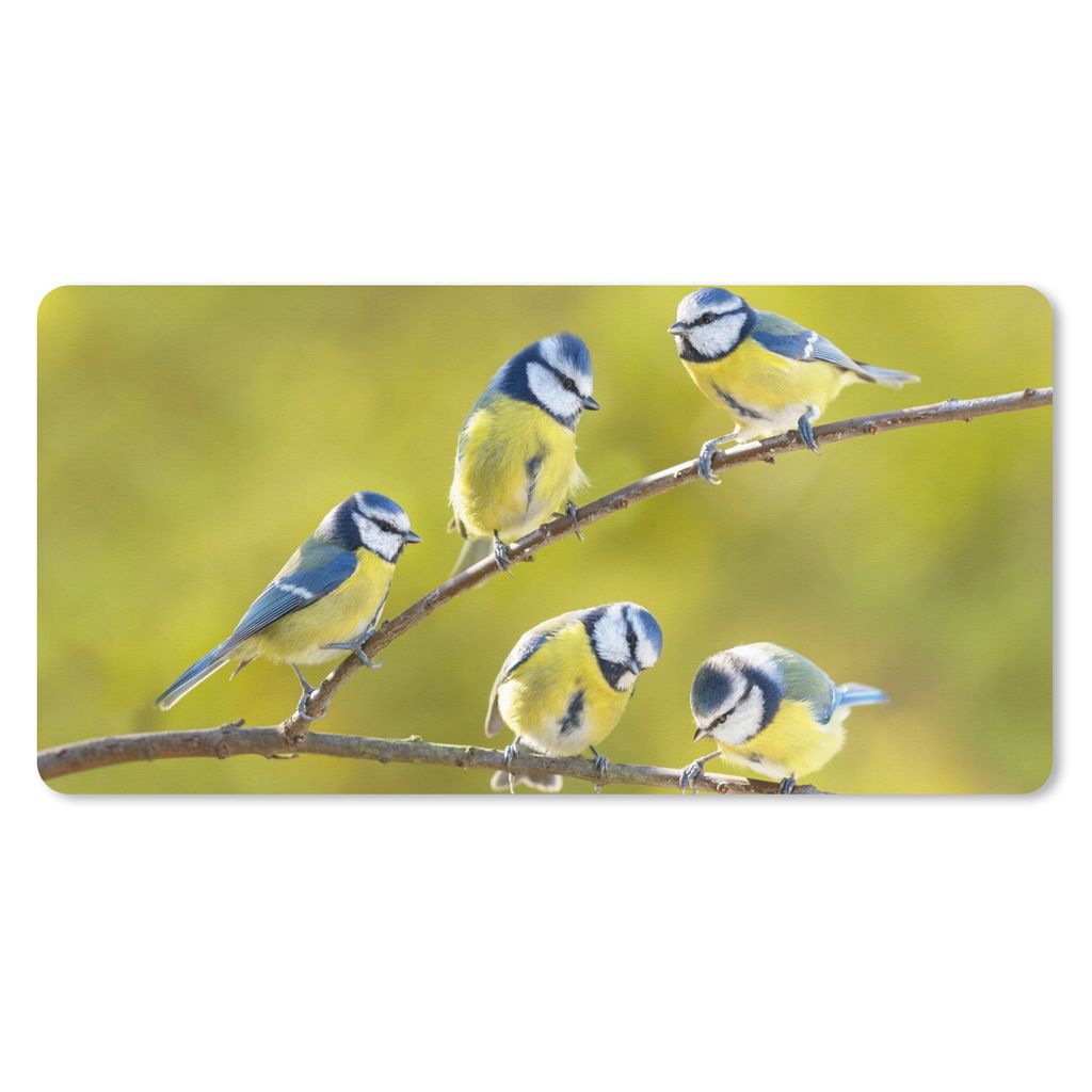 MuchoWow Mauspad Mousepad Vogel - Blaumeise - Äste - Sonne 60x30 cm - Mousepads - Maus Mat - Pad - Mausunterlage - Nachhaltig