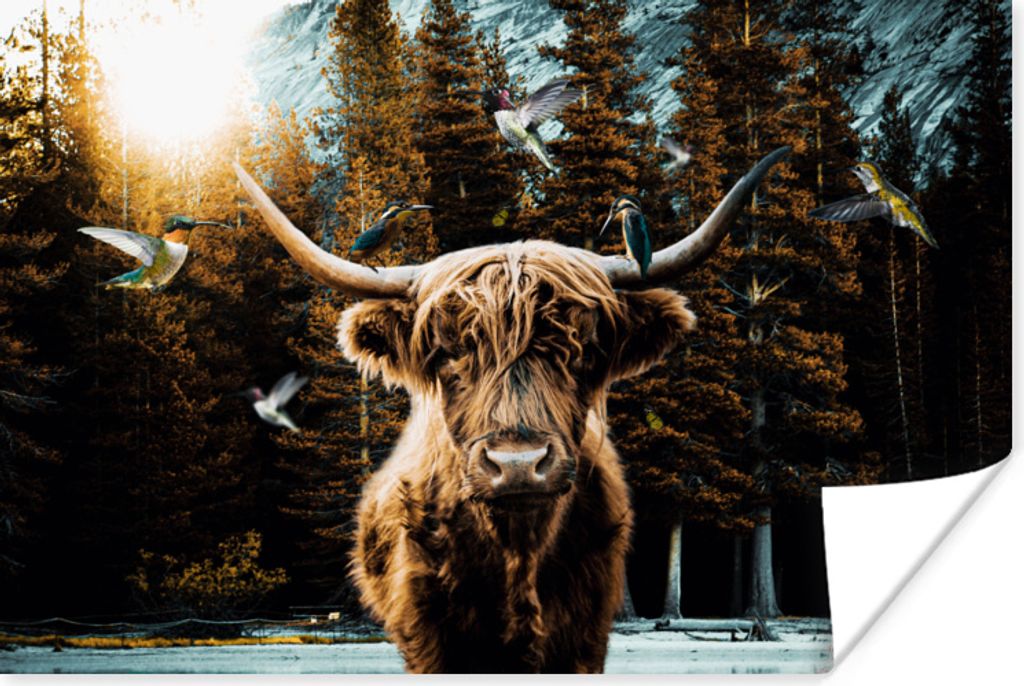 MuchoWow Poster Schottisches Hochlandrind - Kolibri - Wald 60x40 cm - Schlafzimmerdekoration