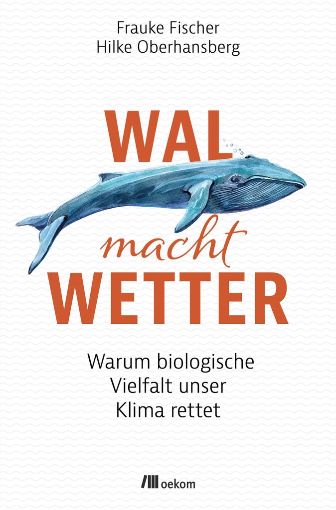 Wal macht Wetter