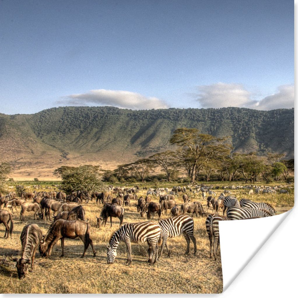 MuchoWow Poster Der Ngorongoro-Krater mit vielen grasenden Wildtieren in Tansania 30x30 cm - Wandposter - Printing