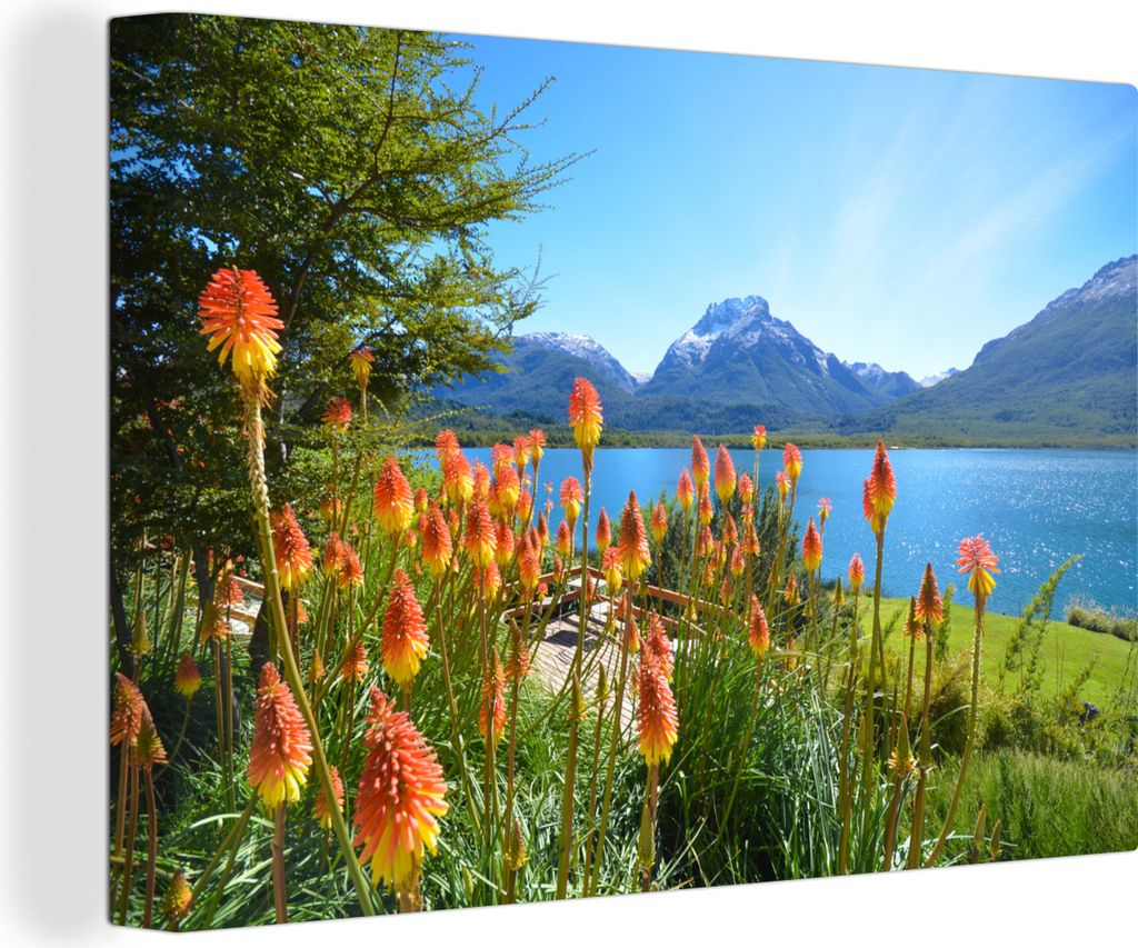 OneMillionCanvasses - Leinwandbilder - 140x90 cm, Blumen vor dem Mascardi-See im Nahuel-Huapi-Nationalpark in Argentinien, Wandbilder Kunstdruck ...