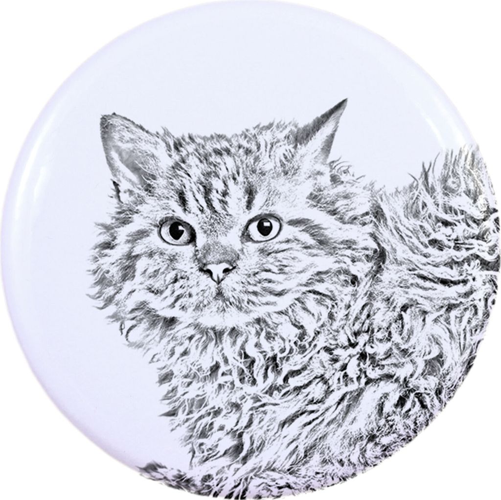 Selkirk Rex Katze Langhaar - Sammlung von einzigartigen Magneten, eigenes Foto, Marke Art-Dog
