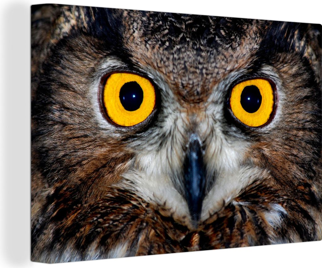OneMillionCanvasses - Leinwandbilder - 140x90 cm, Nahaufnahme eines Uhus mit leuchtend gelben Augen, Wandbilder Kunstdruck Wanddekoration - Foto ...