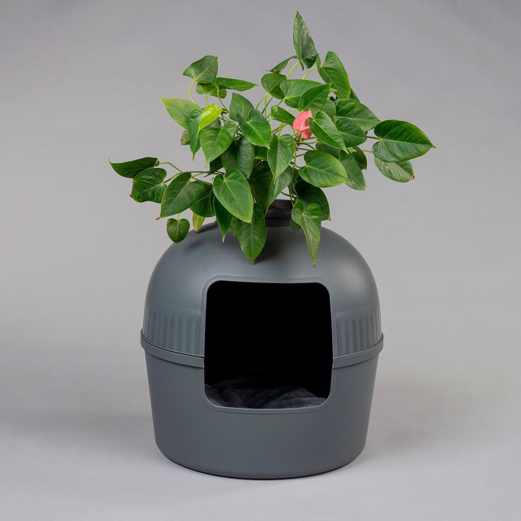 Katzenklo Flower XXL, verborgenes Katzenklo (Anthrazit) Produktbild 