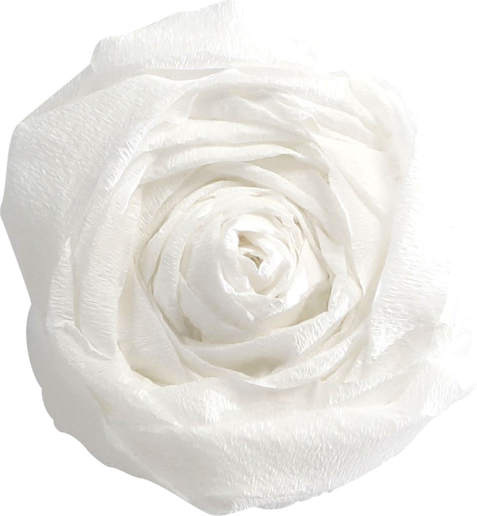 Clairefontaine Krepppapier, Pack. 10 Bogen gefaltet 2mx0 ,50m Weiß 903001C