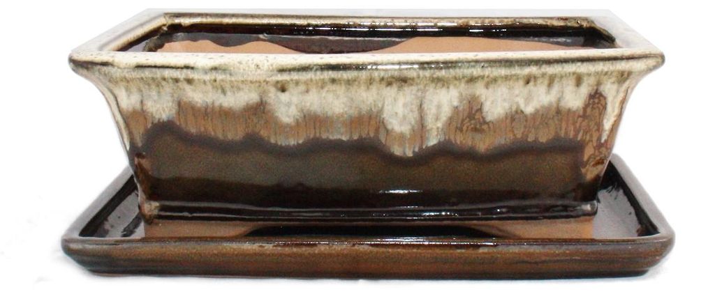 Bonsai-pot met onderschaal, maat 4, bruin/beige, Productafbeelding 