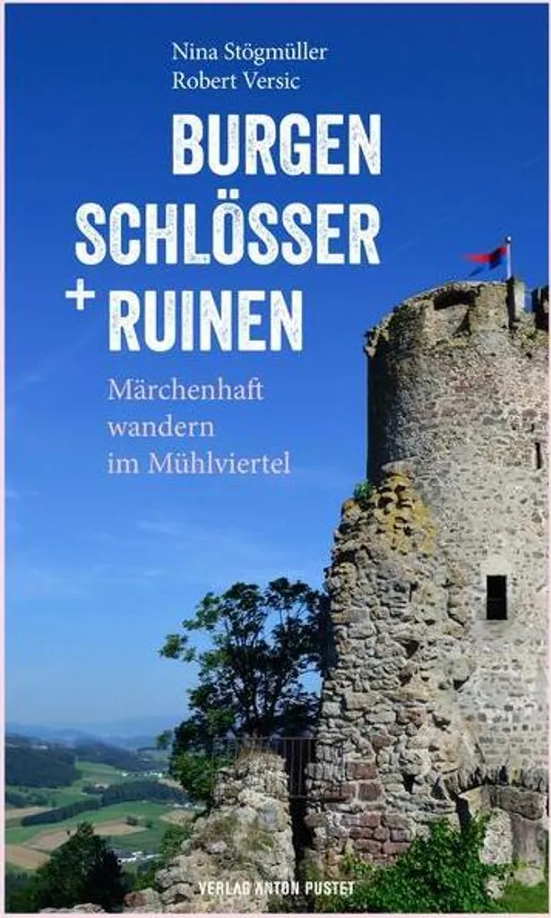 Livre Burgen, Schlösser und Ruinen avec Photos Haute Qualité de Châteaux