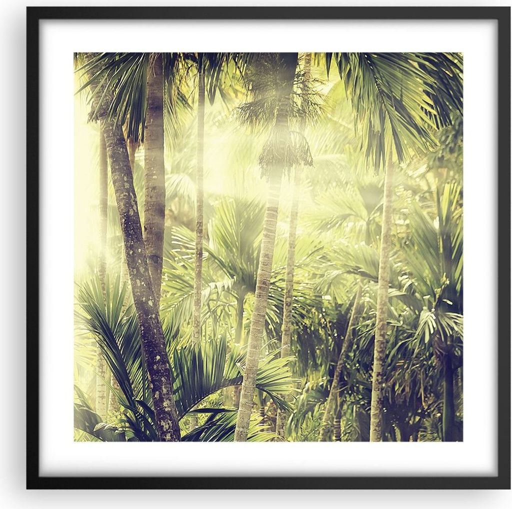 Gerahmtes Poster - Schwarzer Rahmen - Morgendämmerung Dschungel Palmen - 50x50 cm - Wand Bild - Wanddeko - Wandbilder - Kunstposter - Wandposter -...