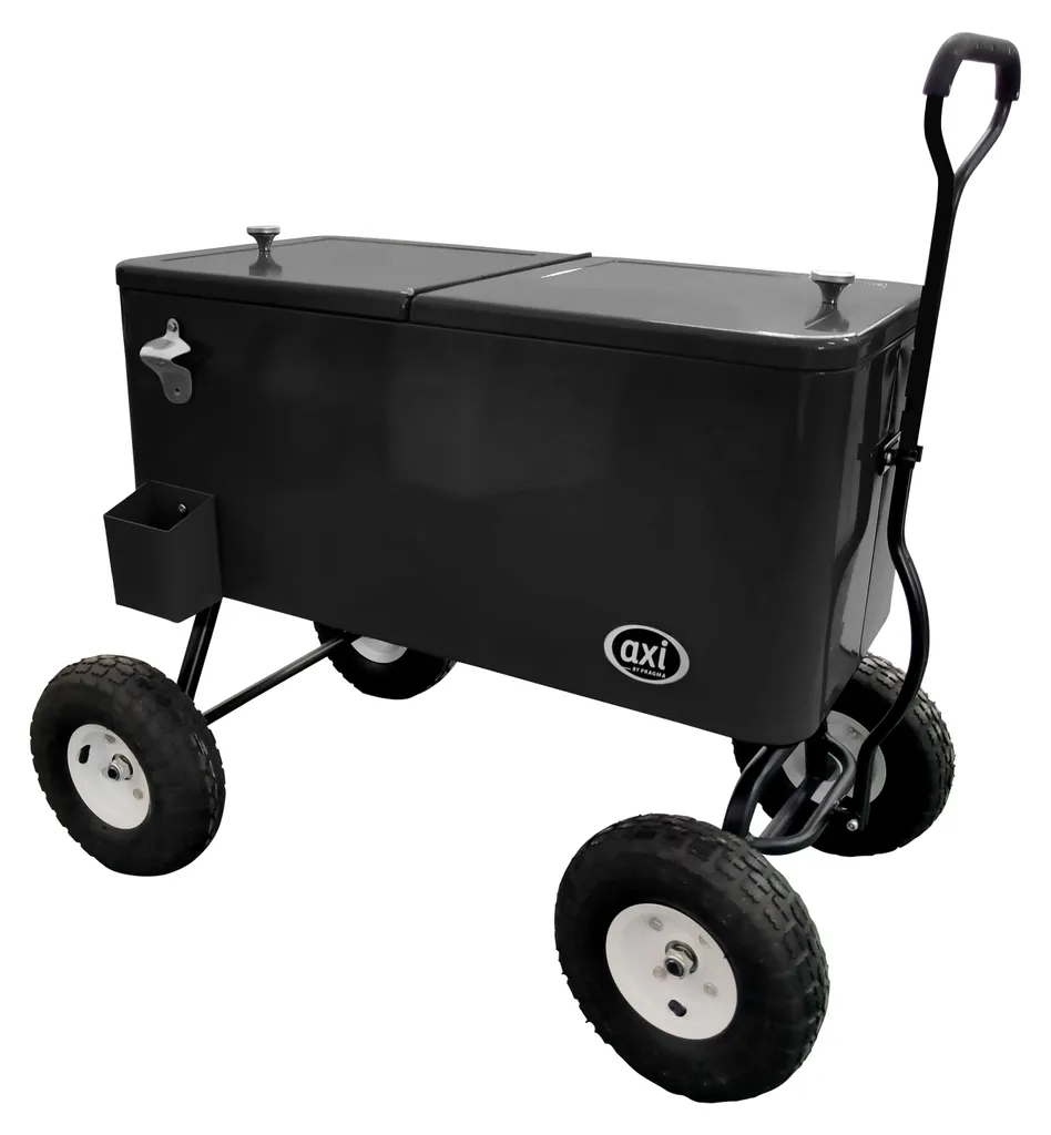 Glacière Jardin pour Barbecue et Fête Réfrigérateur Boissons Mobile 76L AXI