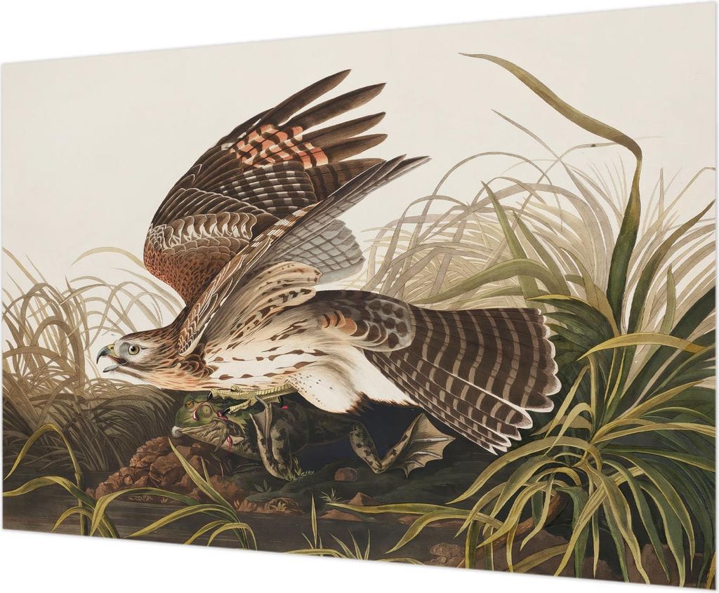 Wandtapete - Dekorative Tapete für Wohnzimmer - Tapetenfolie für Wanddekoration - 312x219 cm - Geflügelte Schönheit