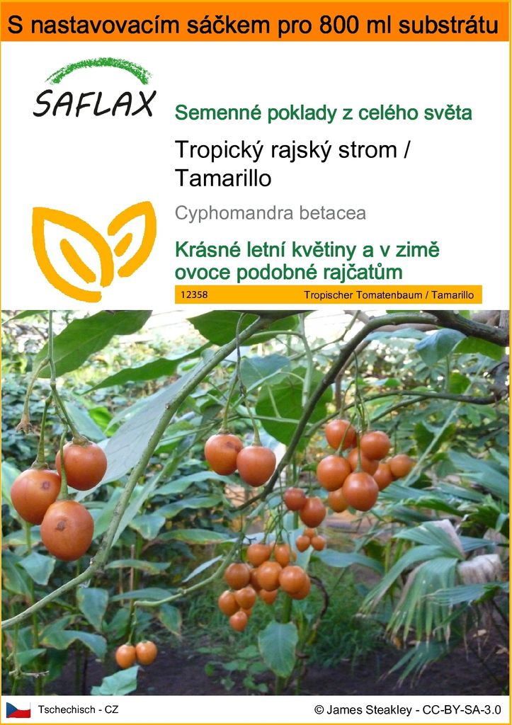 SAFLAX Garden in the bag - Tropický rajský strom / Obrázek produktu 