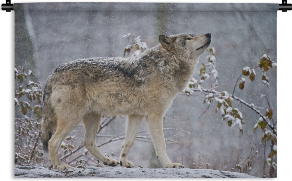MuchoWow Wandteppich Wandbehang Wolf - Schnee - Winter 60x40 cm Tapisserie Dekoration Wandtuch - Wanddekorationen