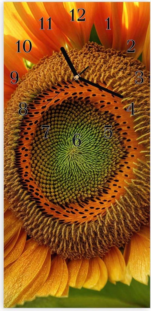 Wanduhr aus Glas mit Motiv Sonnenblume Makro- 30 x 60 cm - inkl. Aufhängesystem